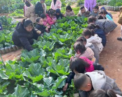 HOẠT ĐỘNG LAO ĐỘNG VỆ SINH NHÓM TRẺ 24-36 THÁNG Ở TRƯỜNG MẦM NON  ĐIỆN BIÊN ĐÔNG