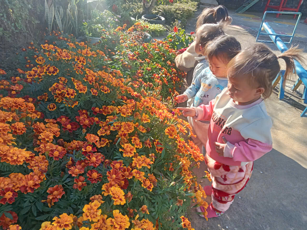 198aa1ef70b6ffe8a6a7