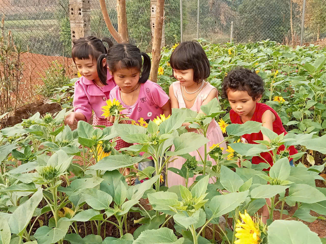 edf0b5037d5af204ab4b