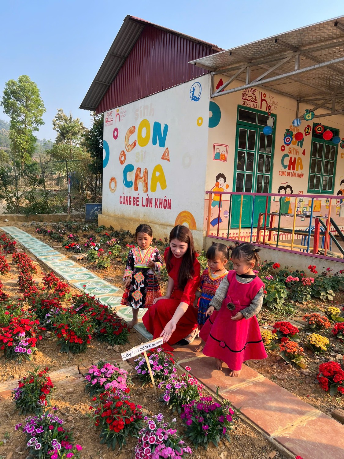 Hoạt động chuyên môn